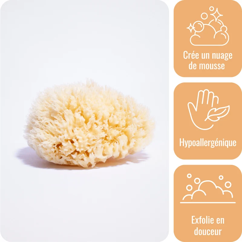 Éponge de mer naturelle - 11 cm
