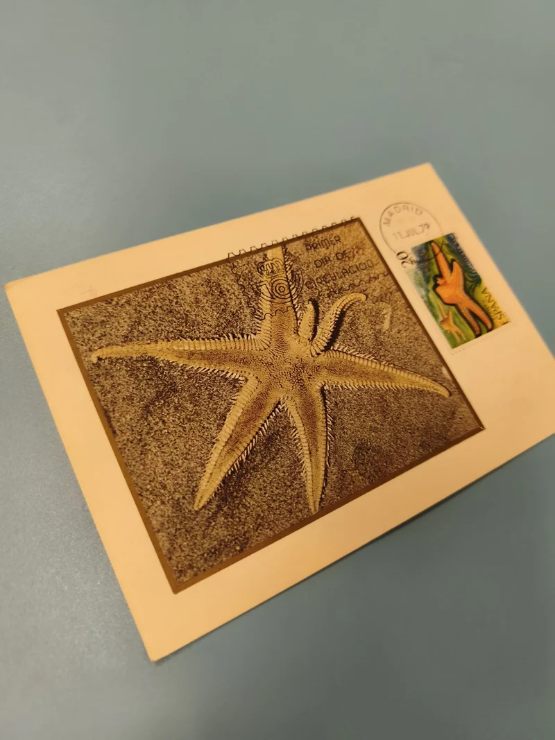 Enveloppe premier jour d?émission FDC étoile de mer timbre Espagne 1979