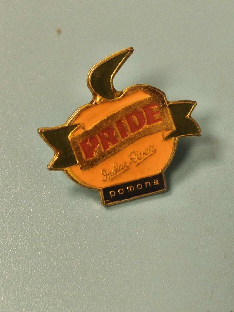 Vintage pin's PRIDE Indian River Pomona orange émaillée collection (ref 10)