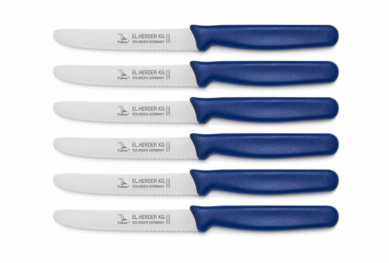 Set 6tlg. Frühstücksmesser PPN Kunststoff mit Welle, Griff blau