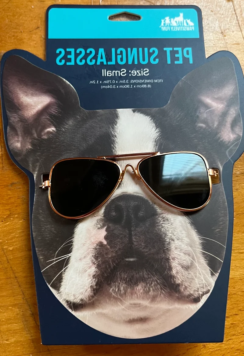 Pet sunglasses (small)