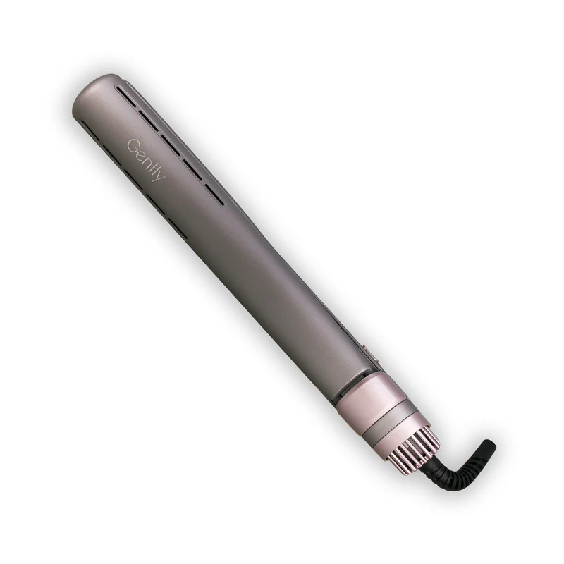 Lisseur Professionnel Séchant 2en 1 DRY'N'LISS