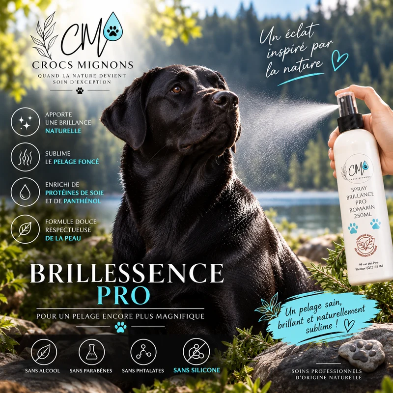 Spray Brillance Pro Romarin