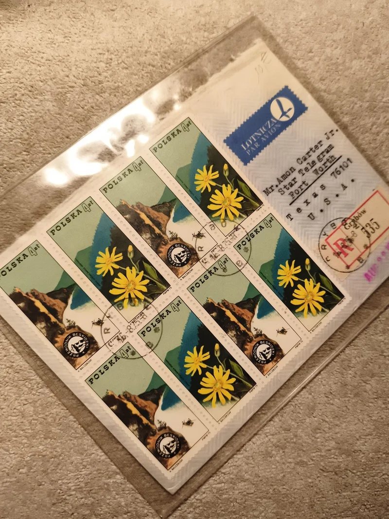 Bloc timbres Pologne POLSKA fleurs jaunes montagne oblitérés philatélie (Ref 11)