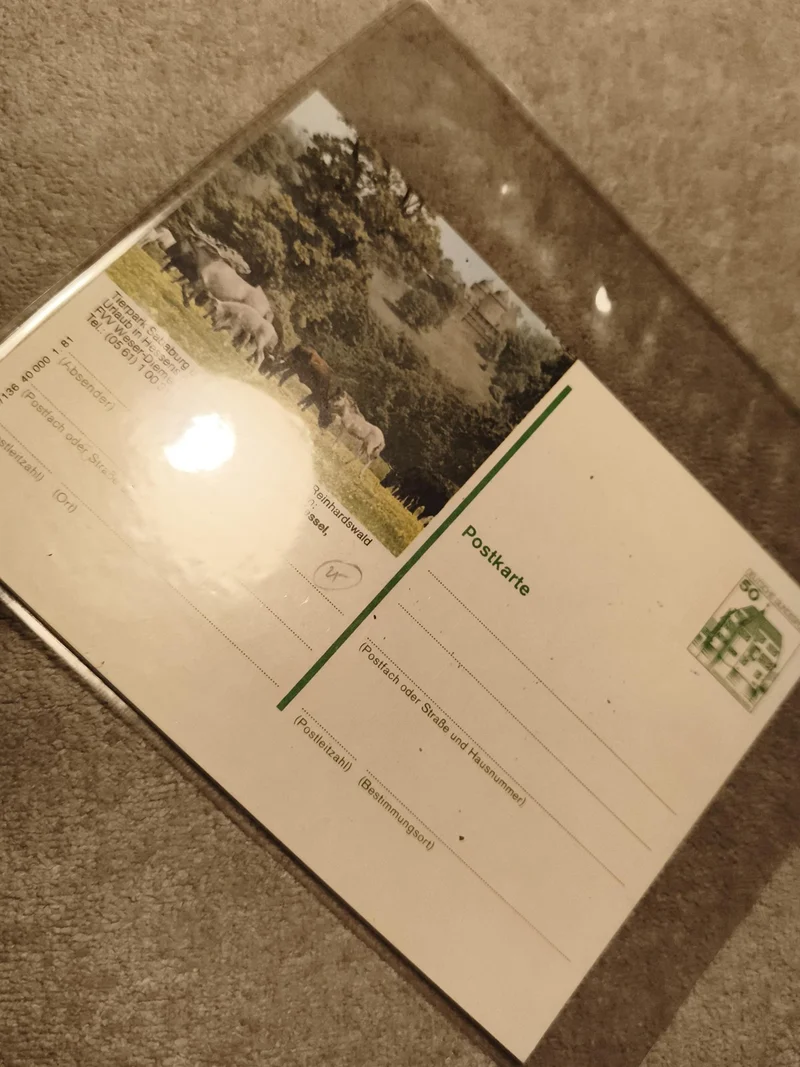 Carte postale chevaux paysage vert timbre 50 Allemagne philatélie (Ref 27)