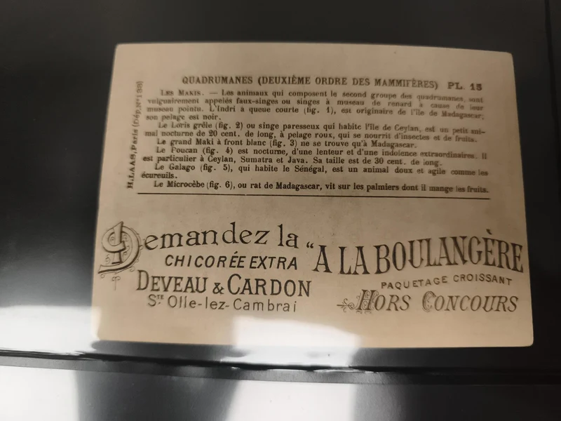 Carte publicitaire ancienne Deveau Cardon Quadrumanes singes Madagascar chicorée