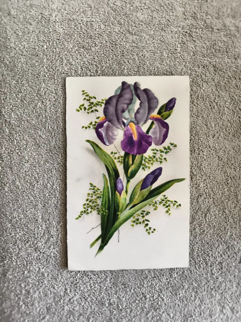 Carte postale illustrée iris violet CPA fleur botanique