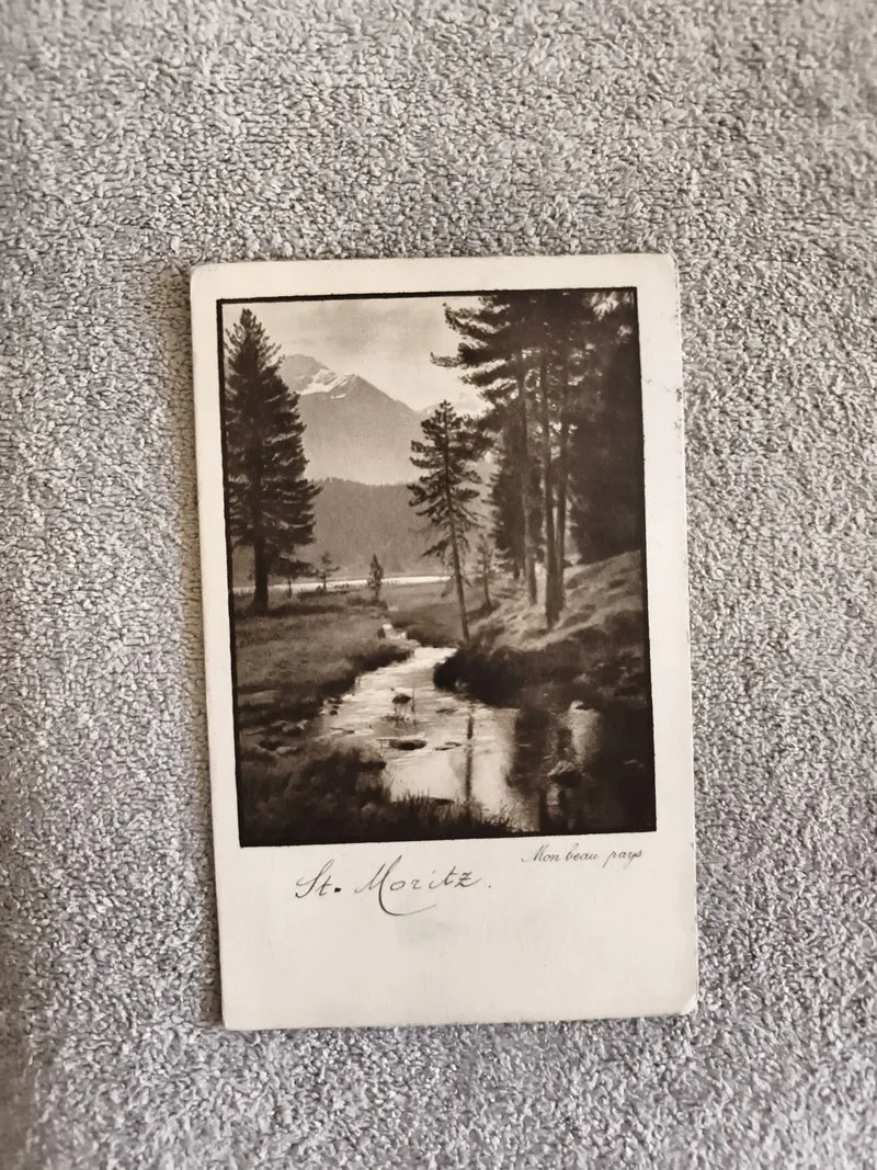 CPA St. Moritz paysage montagne sapins noir et blanc Suisse