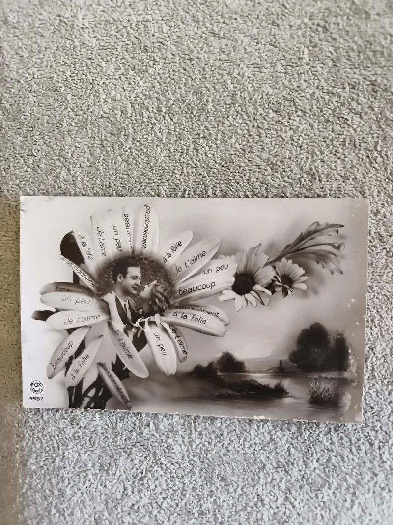 CPA marguerite Je t’aime beaucoup à la folie Fox 4457 carte postale ancienne