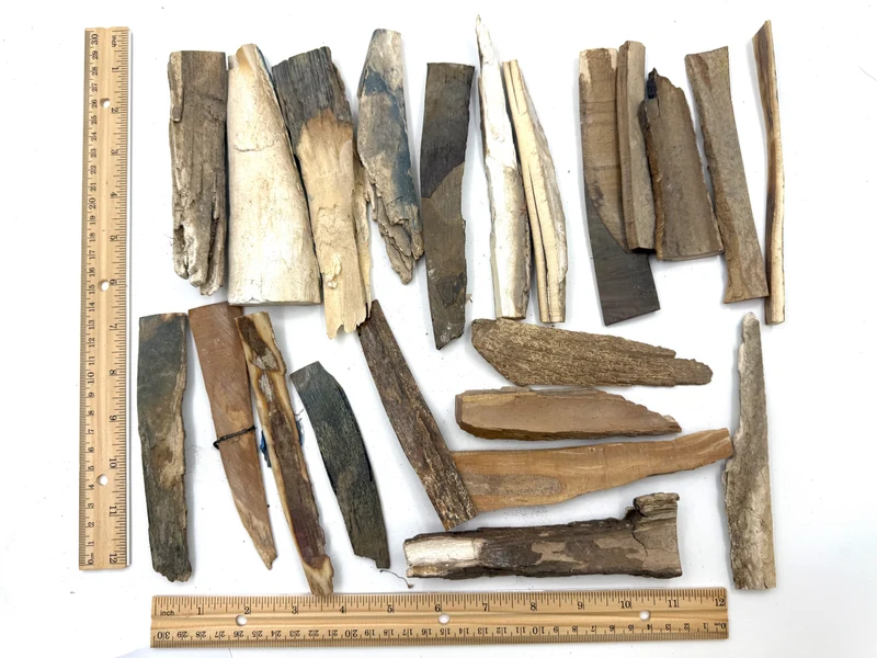 Lot of Mammoth Ivory Scrap #9 (900g)