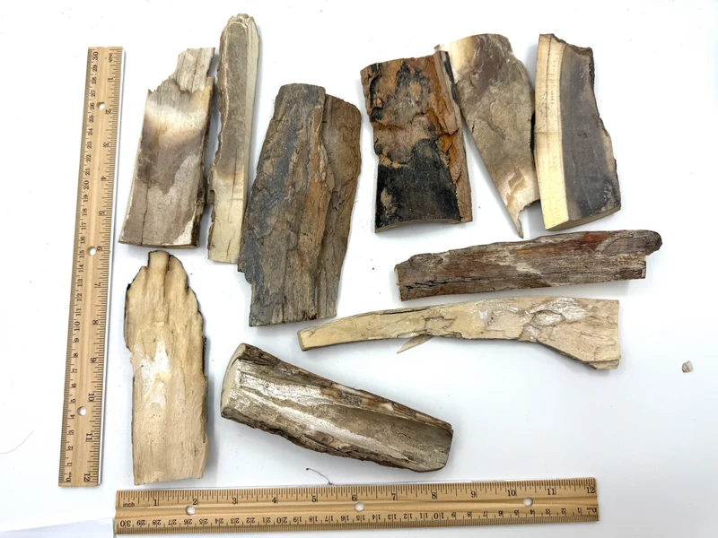 Lot of Mammoth Ivory Scrap #6 (1010g)