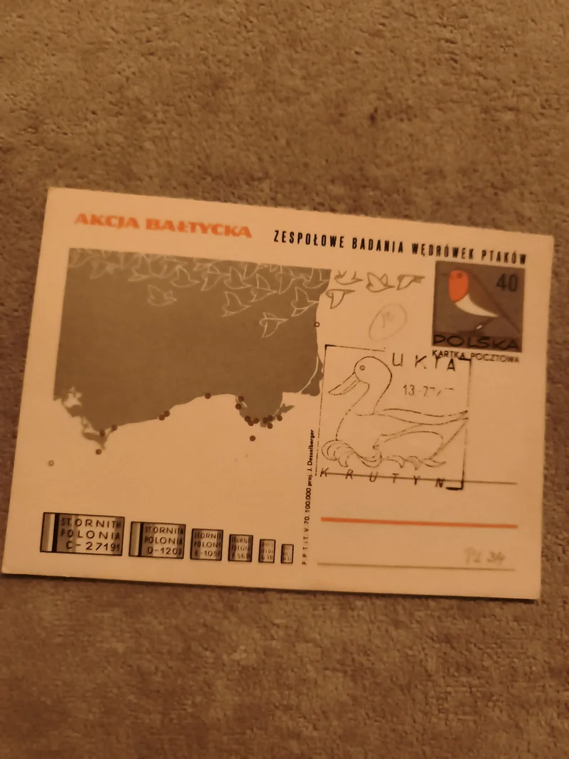 Carte postale philatélie Pologne AKCJA BAŁTYCKA oiseau 40 gr Polska (Ref 1)