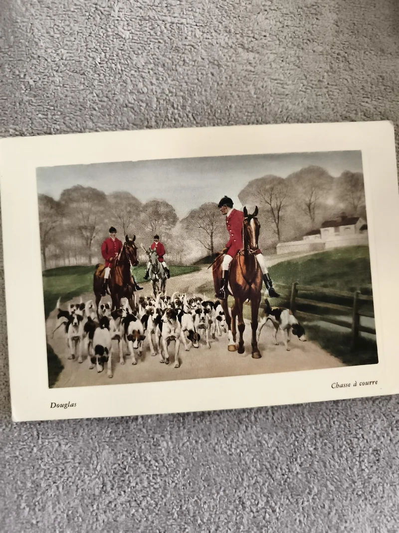 Carte postale Chasse à courre Douglas scène équestre chiens chevaux