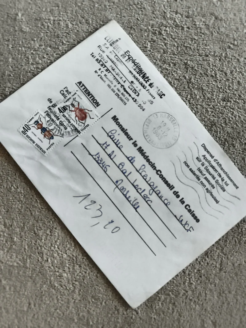 Lettre affranchie timbres fourmis 1993 France philatélie entomologie