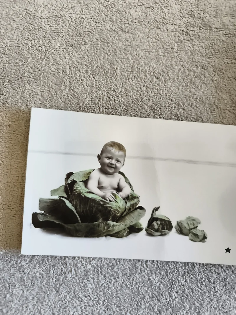 CPA bébé dans un chou carte postale photo humour noir et blanc colorisée