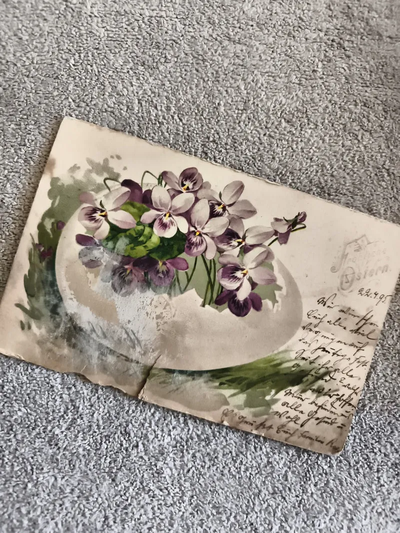 Carte postale illustrée violettes violettes CPA fleurs ancienne écriture