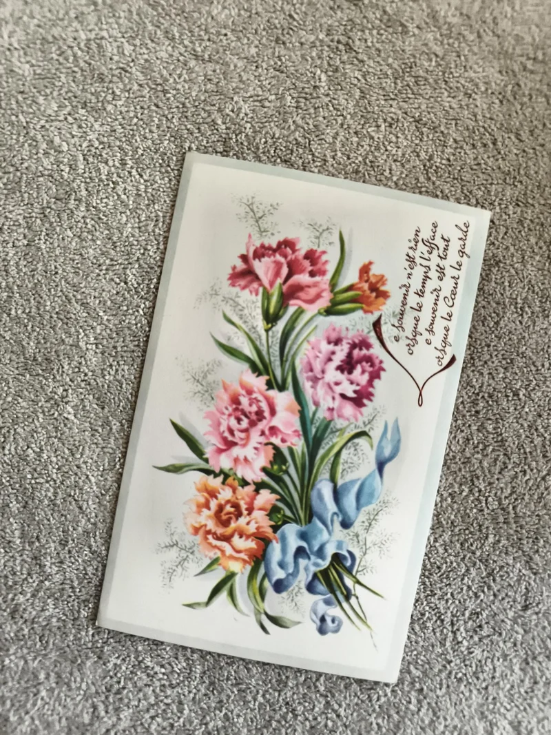 Carte postale illustrée fleurs œillet ruban bleu CPA