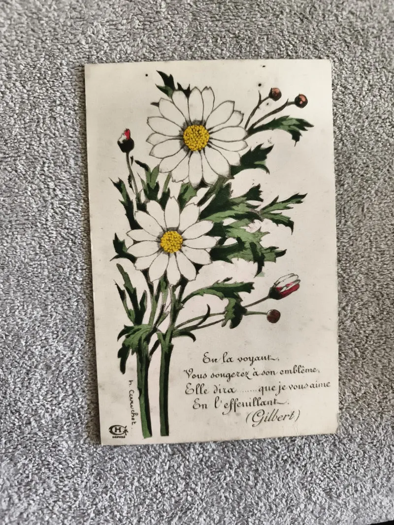 CPA marguerite illustrée message amour fleurs blanches carte postale ancienne