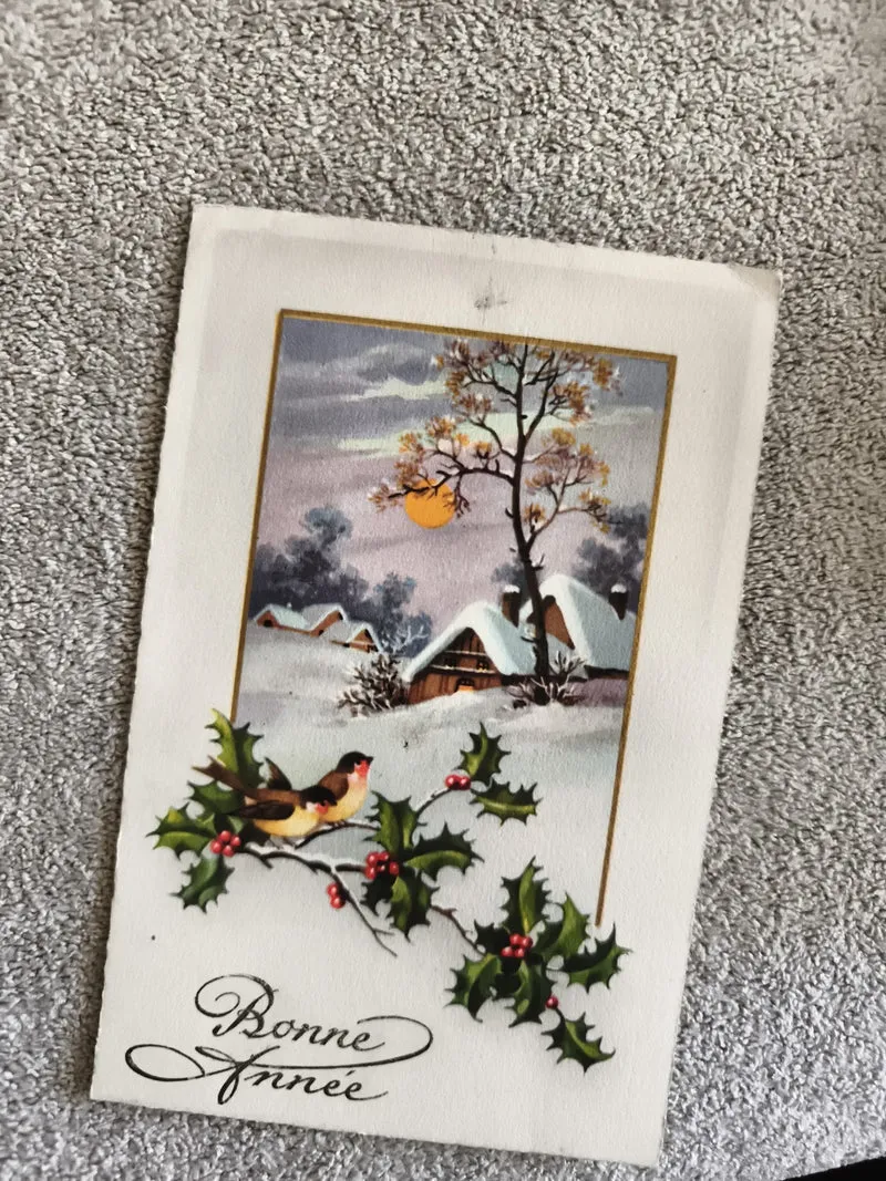 CPA Bonne Année paysage hiver oiseau houx carte postale ancienne