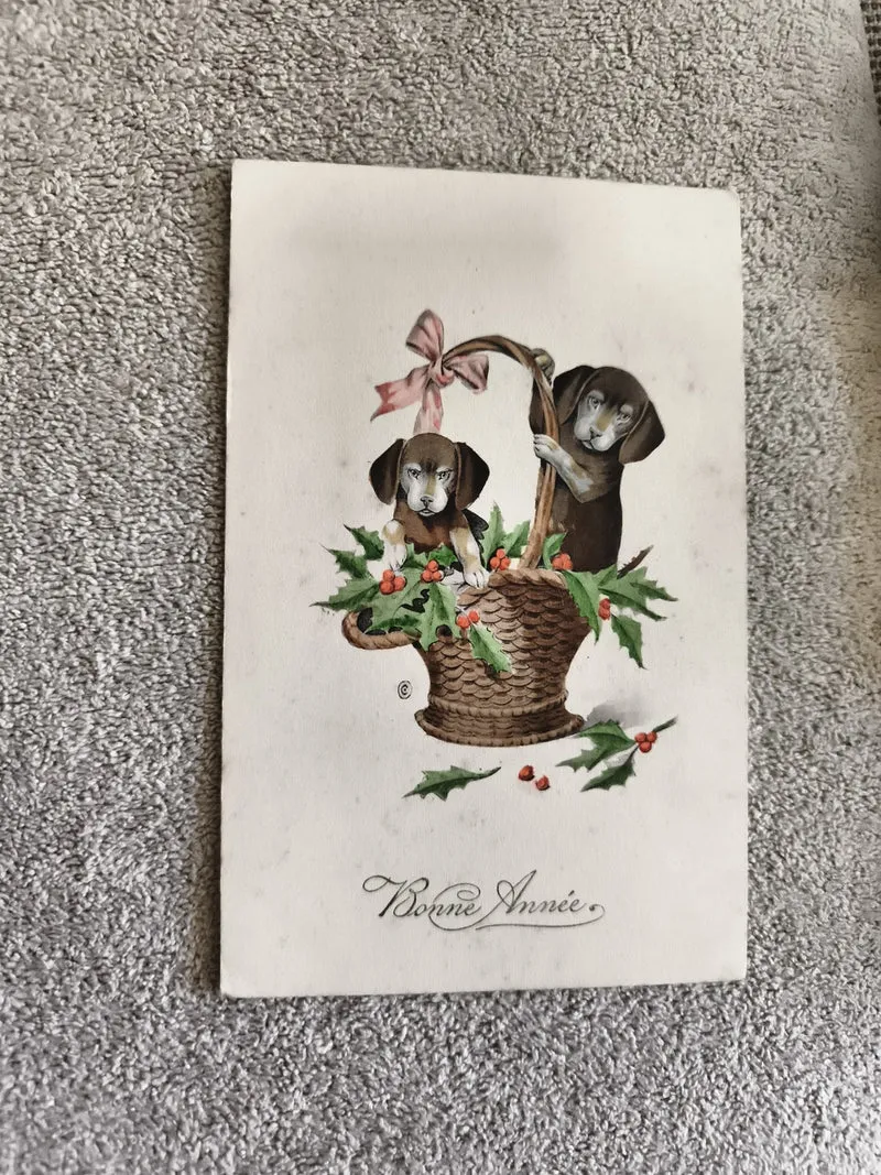 Carte postale Bonne Année chiens panier houx illustration CPA