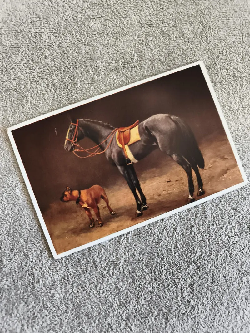 CPA cheval selle et chien illustration animalière décorative