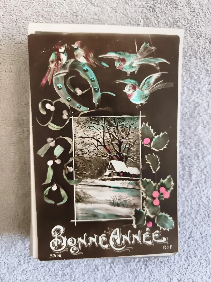 Carte postale Bonne Année hiver oiseaux houx CPA ancienne France