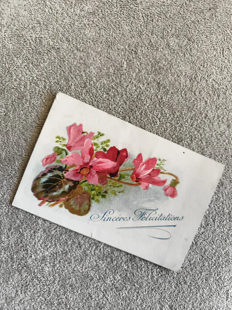 Carte postale illustrée fleurs cyclamen Sincères Félicitations CPA
