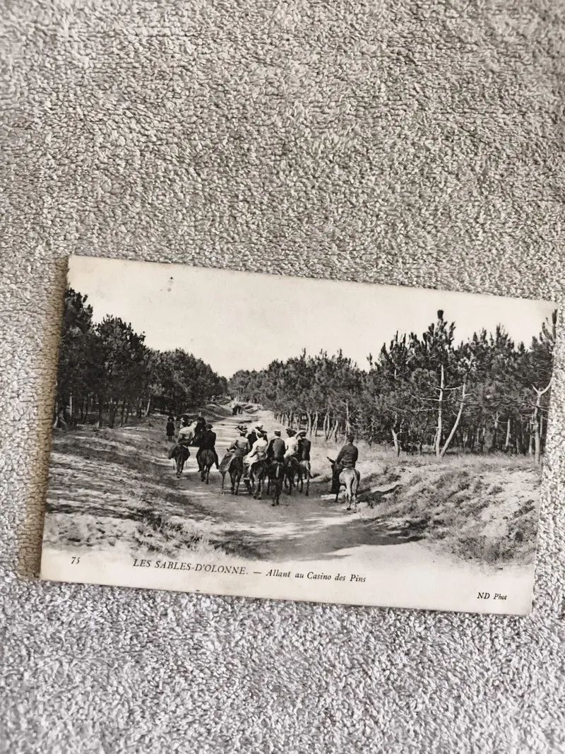 Carte postale CPA Les Sables-d’Olonne ND Phot Casino des Pins