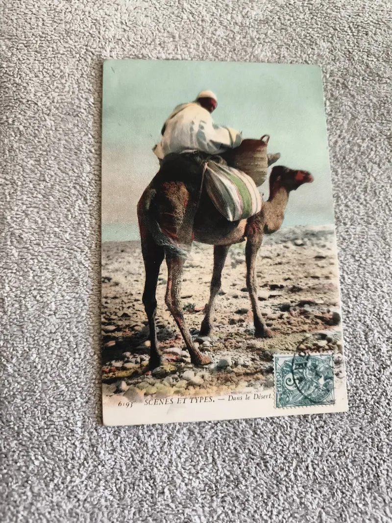 Carte postale illustrée Afrique scène désert, dromadaire timbre CPA