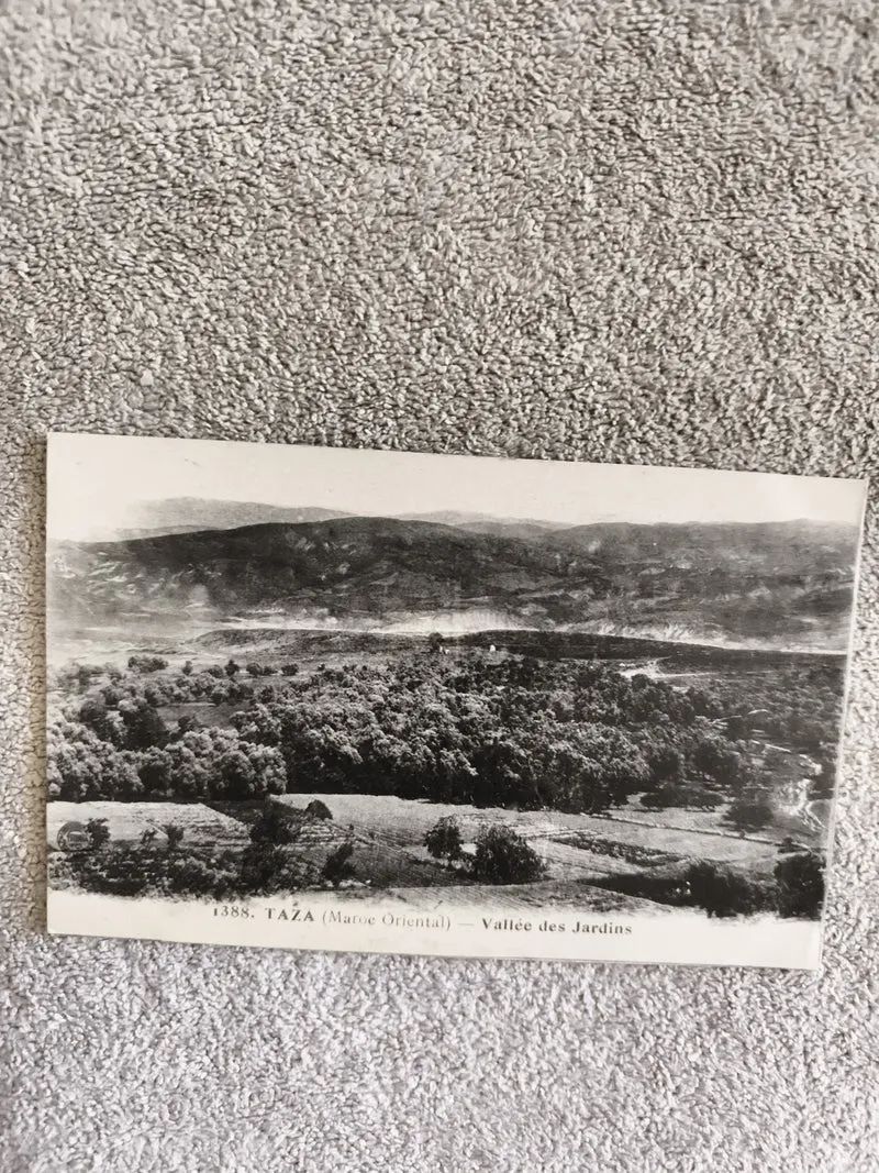 Carte postale CPA Taza Maroc Oriental Vallée des Jardins paysage