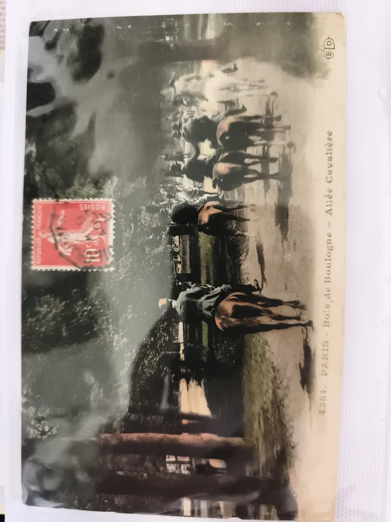 CPA Paris Bois de Boulogne Allée Cavalière chevaux timbre France