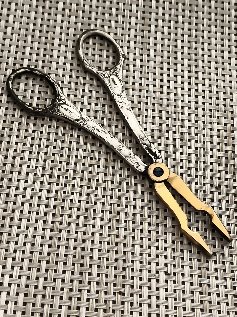 Ciseaux anciens à griffes dorées, style XIXe, décoration gravée, vintage