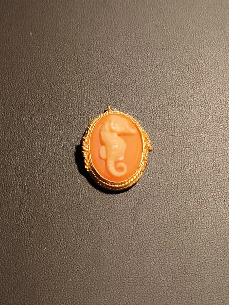 Broche camée vintage ovale, profil femme, monture dorée fantaisie rétro