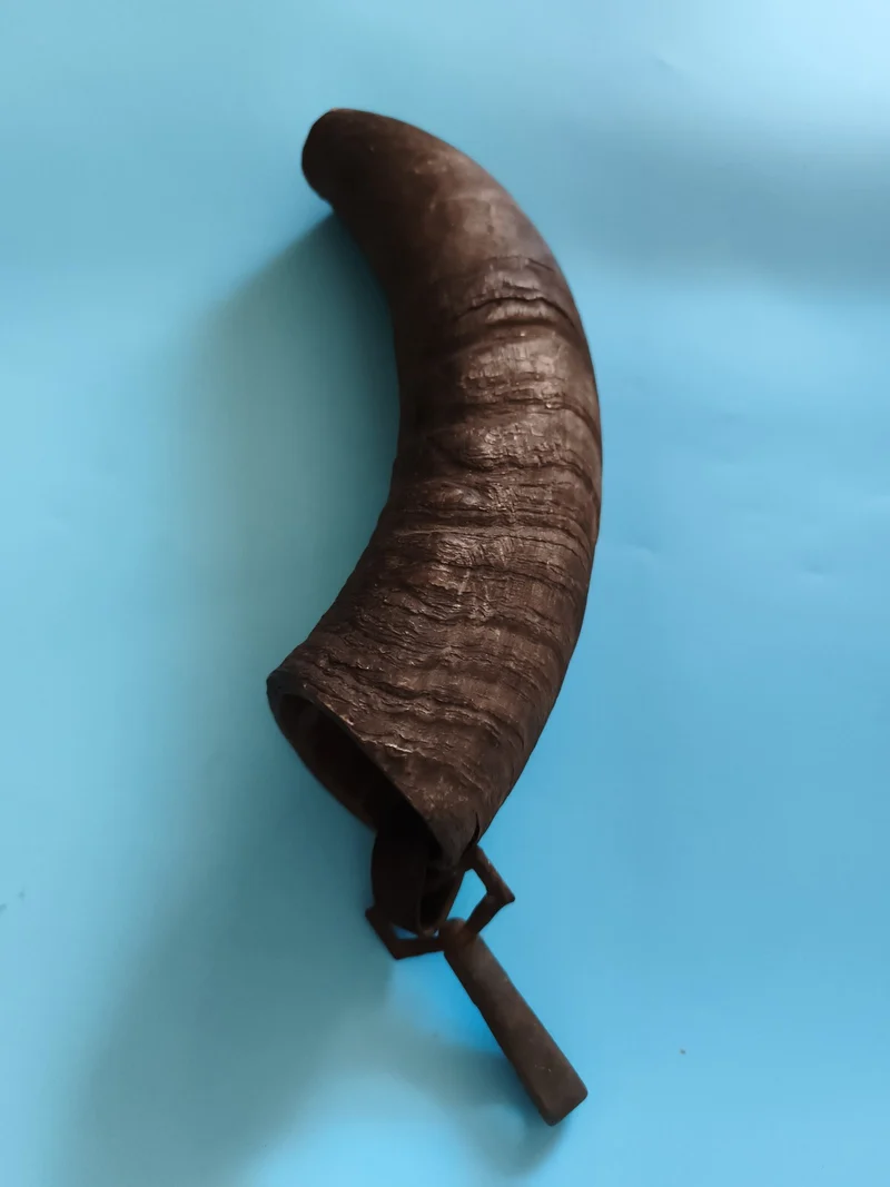 Corne ancienne taxidermie avec battant fer, déco rustique, authenticité vintage