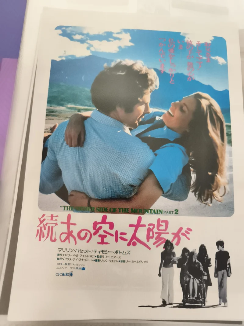 Flyer cinéma vintage japonais The Other Side of the Mountain Part 2