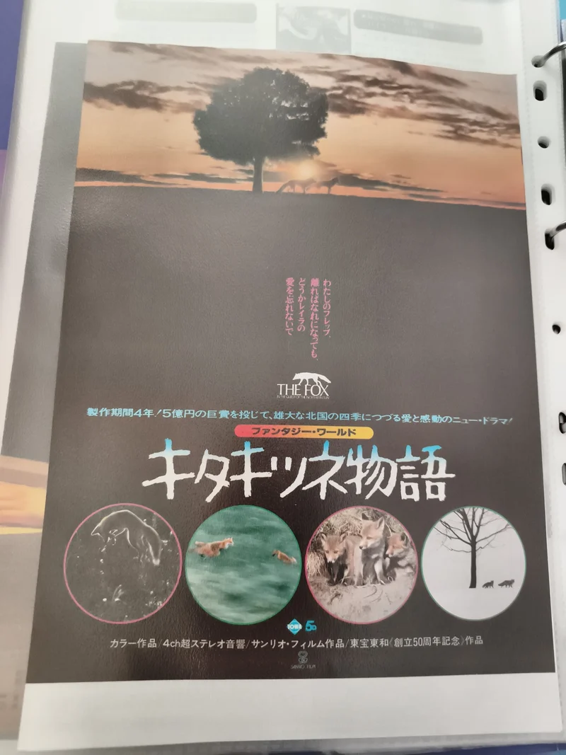 Flyer cinéma vintage japonais The Fox animaux nature années 80 rare