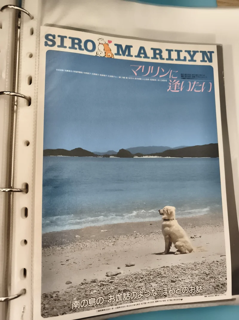 Flyer cinéma vintage SIRO MARILYN Japon affiche film chien plage rétro
