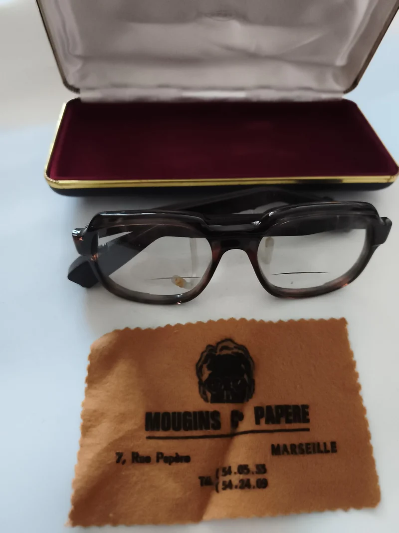 Lunettes de vue Denmark monture écaille, étui rigide, accessoires optique