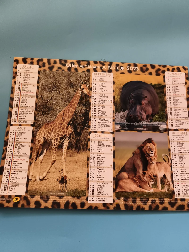 Almanach du facteur 2023 Oller animaux sauvages neuf calendrier mural