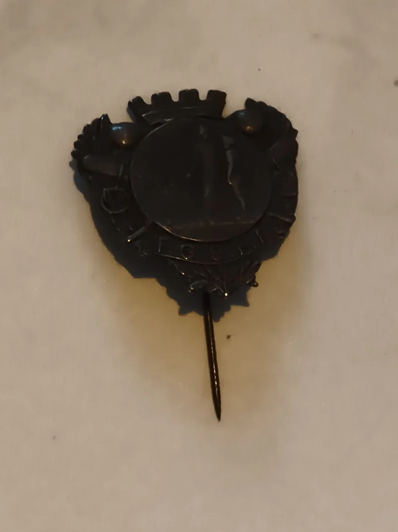 Broche ancienne F.G.S.P.F. insigne foncé blason émaillé vintage badge