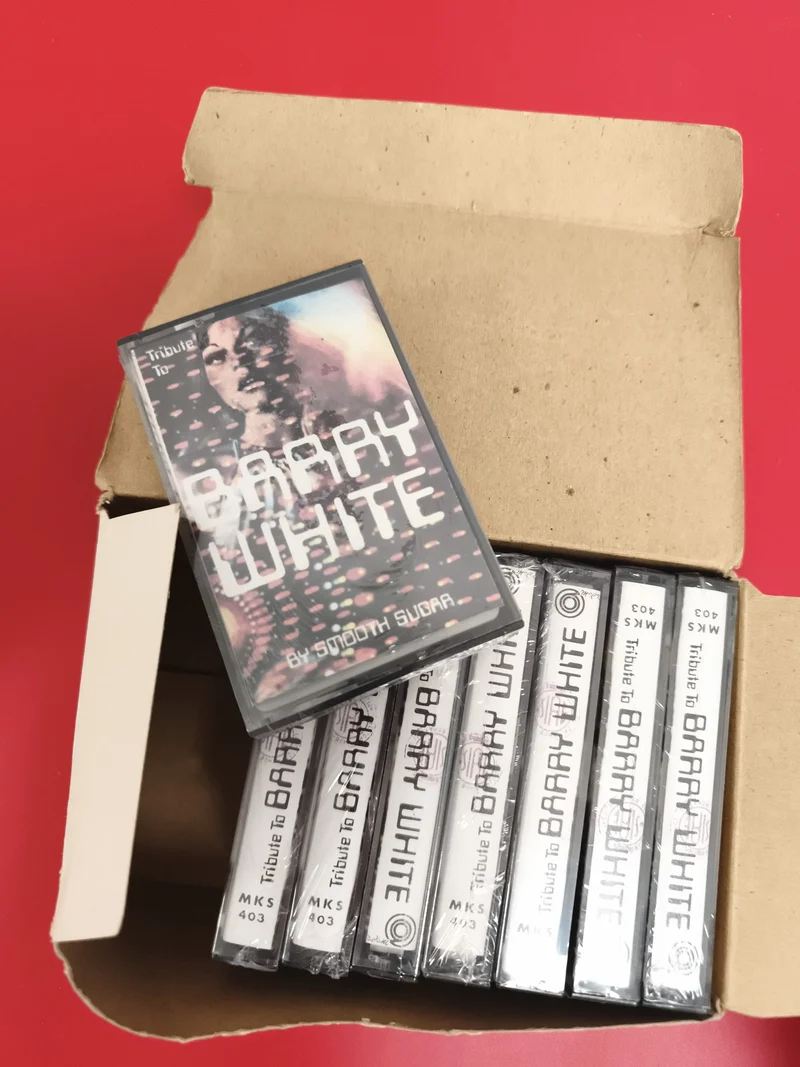 Lot 10 cassettes audio Tribute to Barry White neuves emballées MKS 403