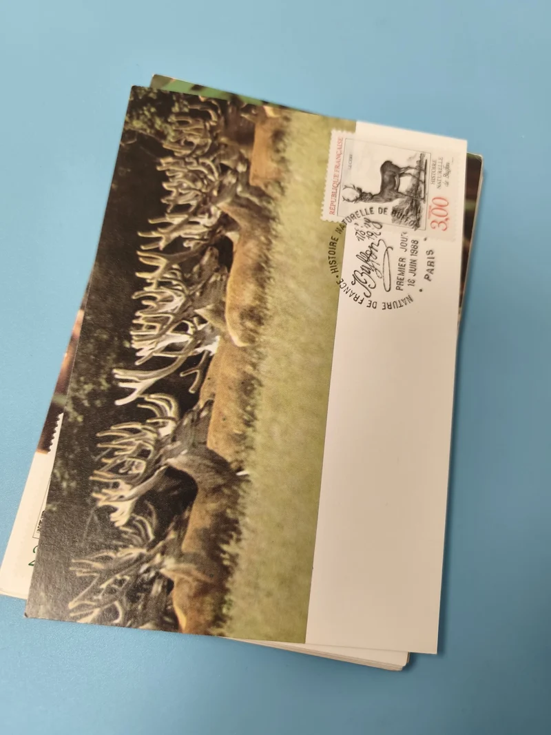Carte postale faune cerf timbre France oblitéré philatélie animaux nature