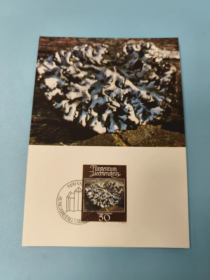 Carte postale Liechtenstein timbre Harmelia physodes 50c nature photo