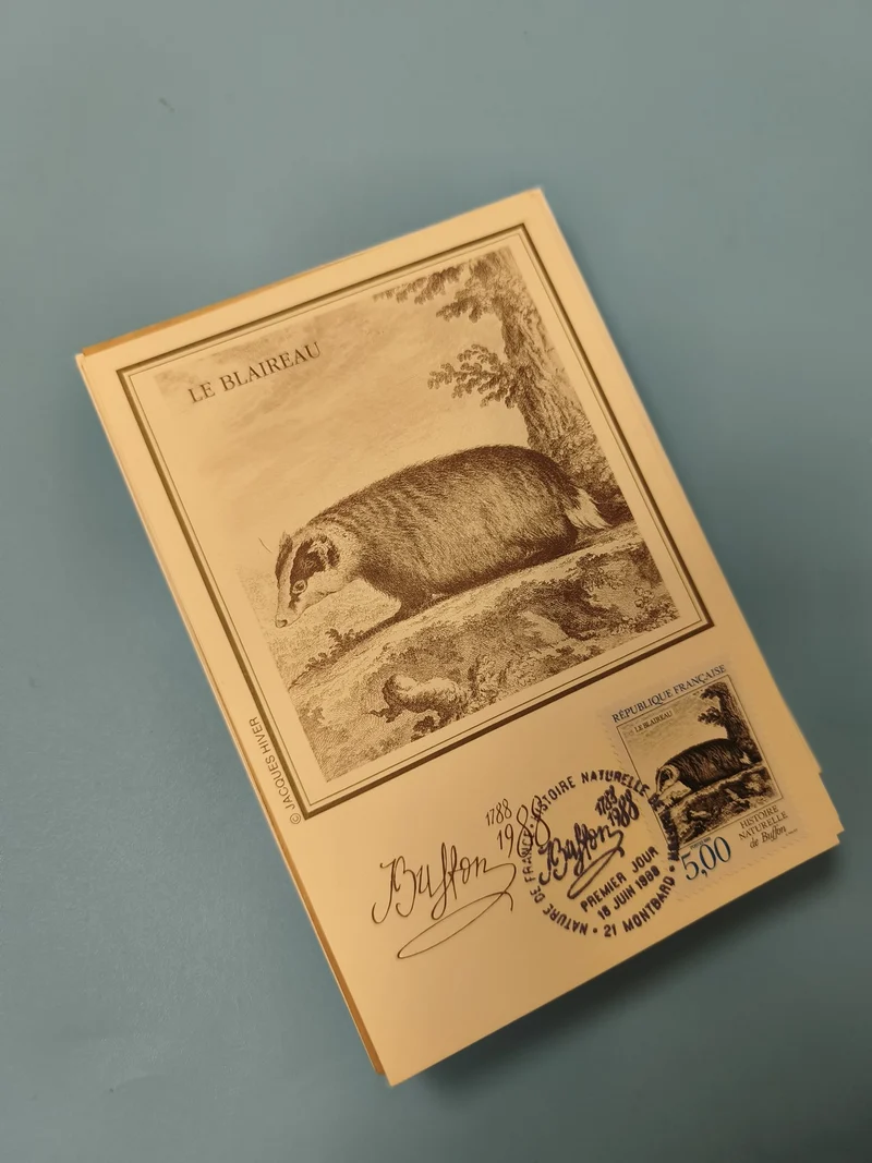 Carte postale philatélie Le Blaireau illustration Buffon oblitération 1988