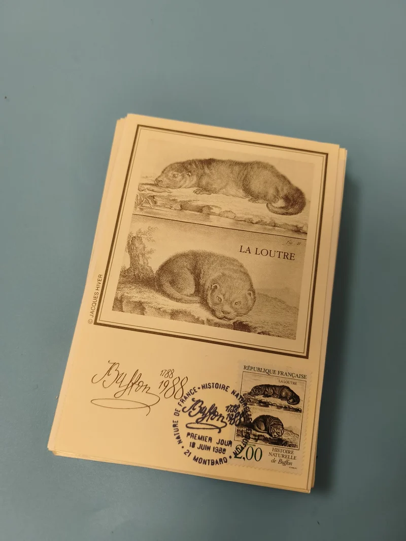 Carte postale La Loutre Buffon timbre et cachet 1988 illustration animal