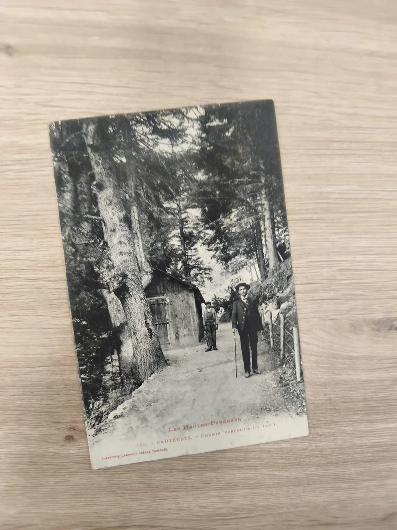 Ancienne carte postale CPA Cauterets chemin forestier Hautes-Pyrénées rétro