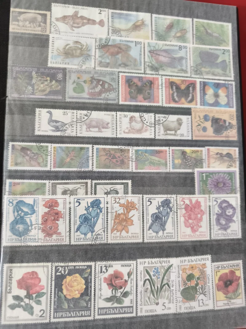 Lot de timbres bulgares usagés, motifs animaux et fleurs, multicolores