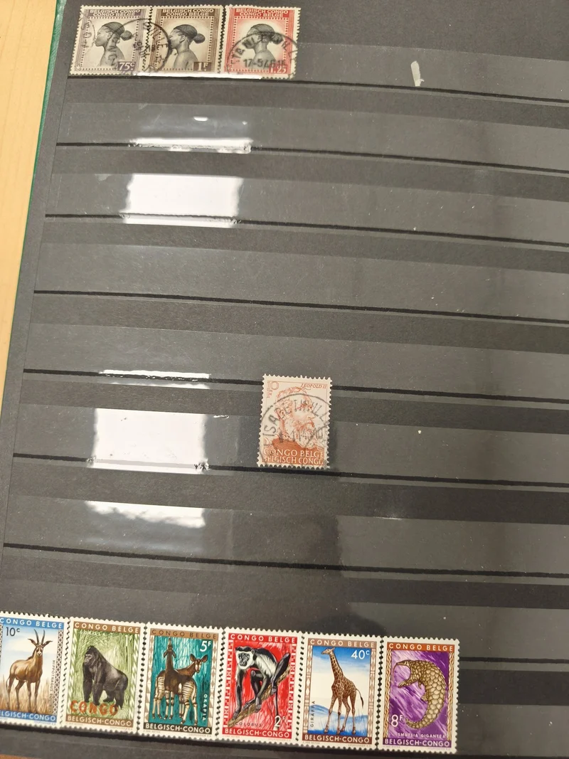 Lot de timbres Congo Belge animaux et portraits ? philatélie, support non inclus