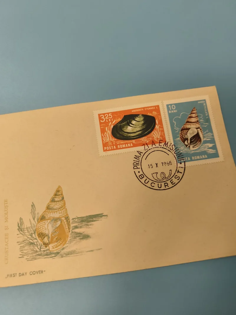 Ancienne enveloppe philatélie Roumanie 1966, timbres coquillages, FDC
