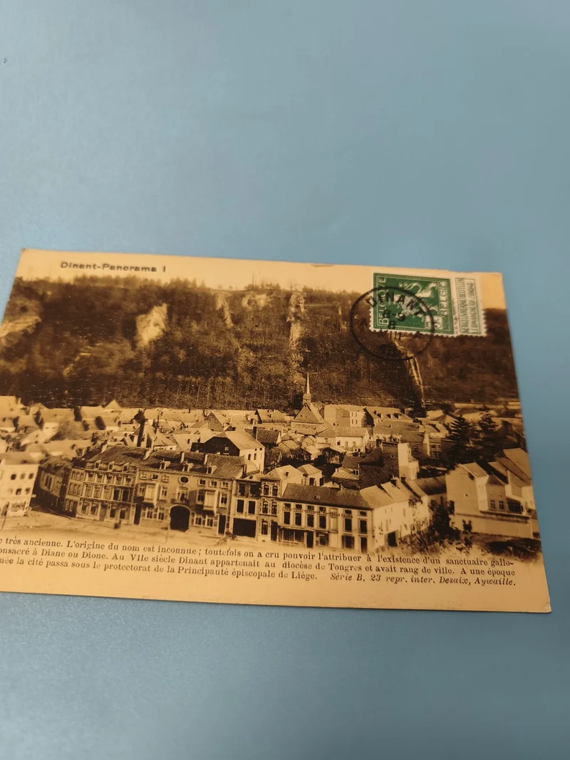 Carte postale ancienne CPA Dinant Panorama timbre Belgique vue ville rétro